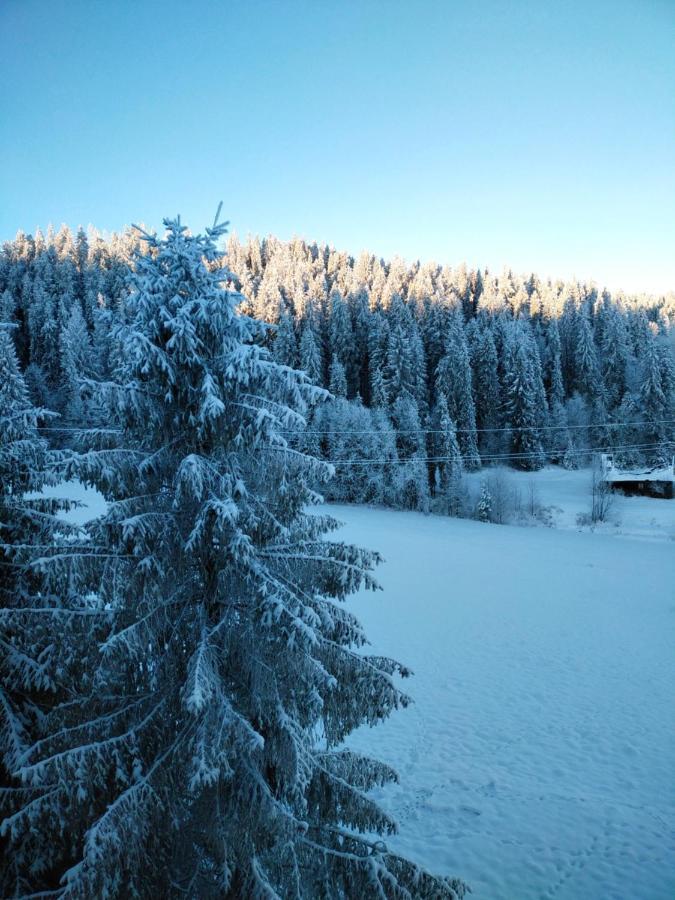 Goralove Pole Brzegi  Exteriör bild